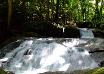 Falls  next to the house #1