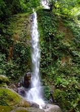 One of the twin falls below the main hose