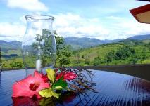 View from breakfast area/Cafe
