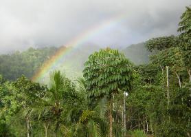 Rainbow over Cana Blanca