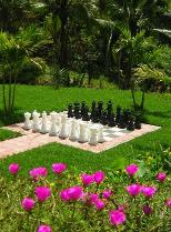 the garden chess board