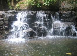 The Cold Falls in the jungle nearby #4