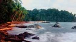 La Playa cerca Dominical