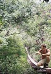 in the canopy at Baru reserve
