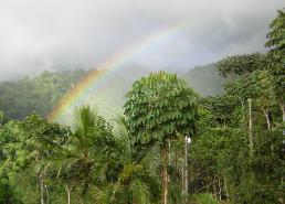 Rainbow over Los Aires